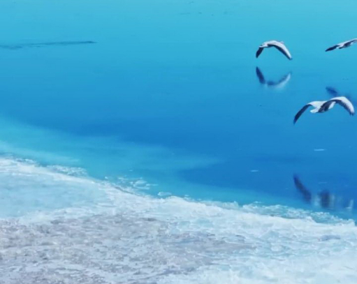 秀我中國｜青海湖開湖！“文開”“武開”同框上演