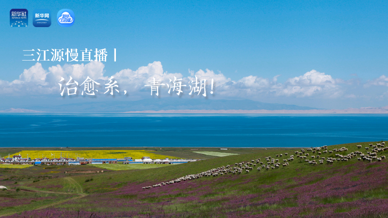 三江源慢直播丨治愈系，青海湖！